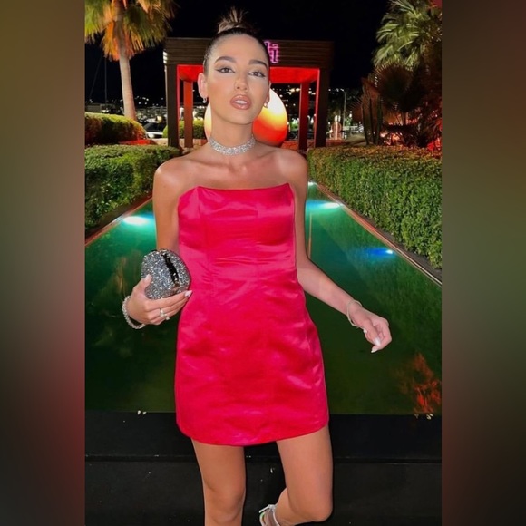 Zara Fuchsia Strapless Dress. NWT. Size Small. - Picture 2 of 9